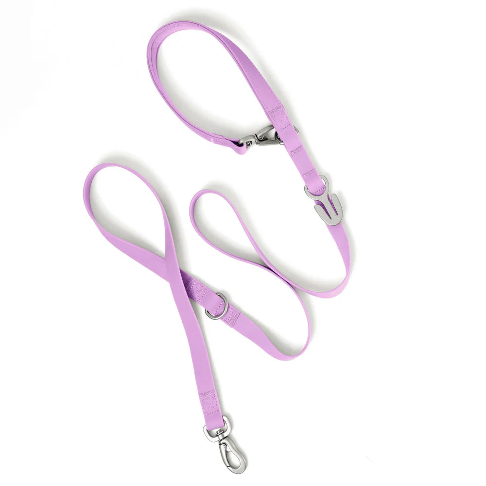 Waterproof Dog Leash 5ft