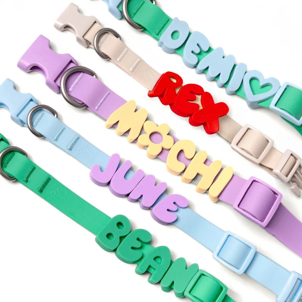 Silicone Dog Charms | Letters & Symbols for Personalized Dog Collars and Leashes