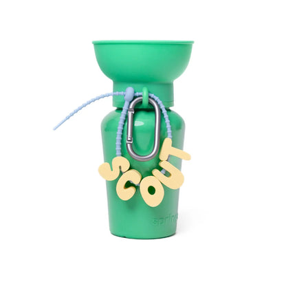 Silicone Dog Charms | Letters & Symbols for Personalized Dog Collars and Leashes