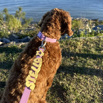 Waterproof Dog Collar