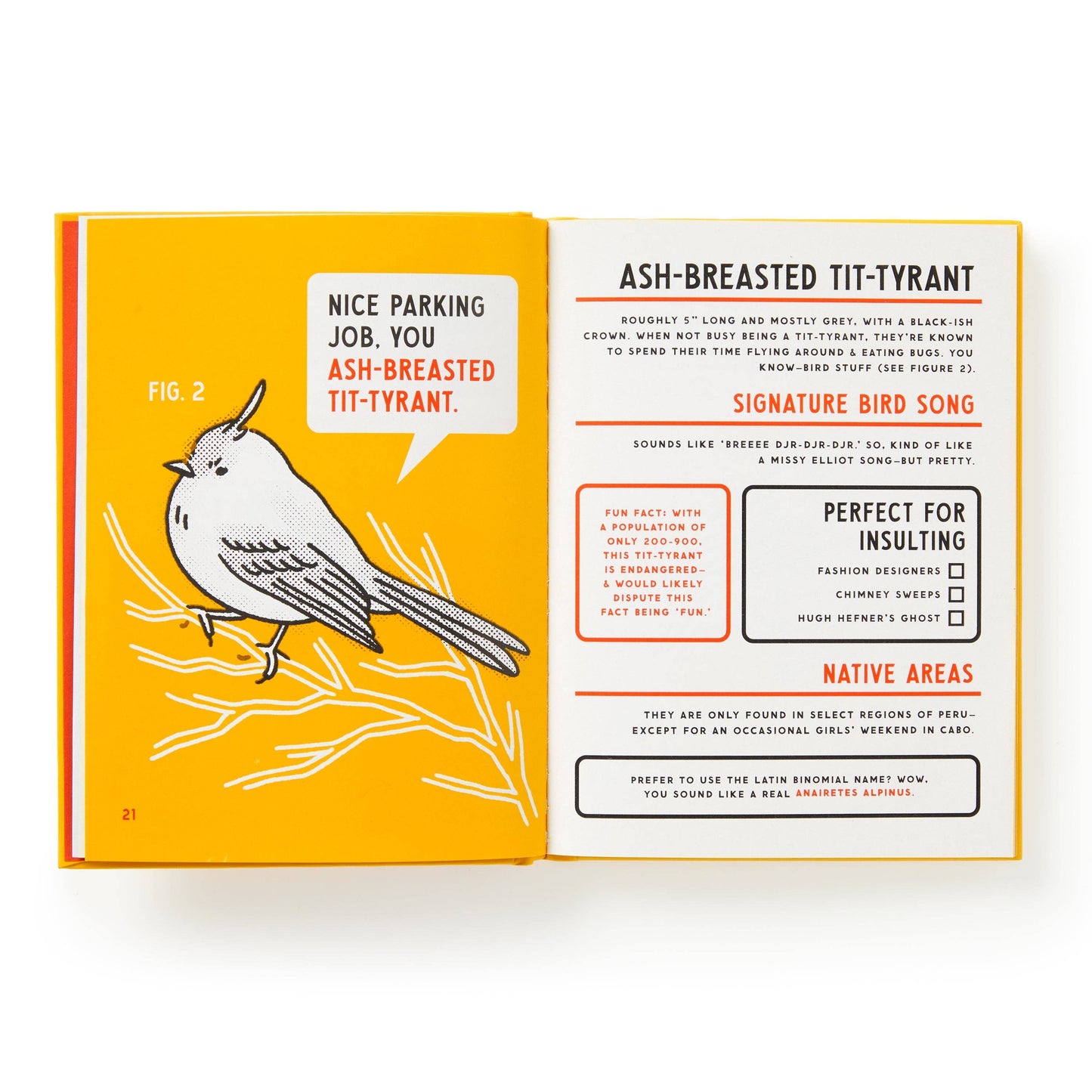 Illustrated Guide to Birds
