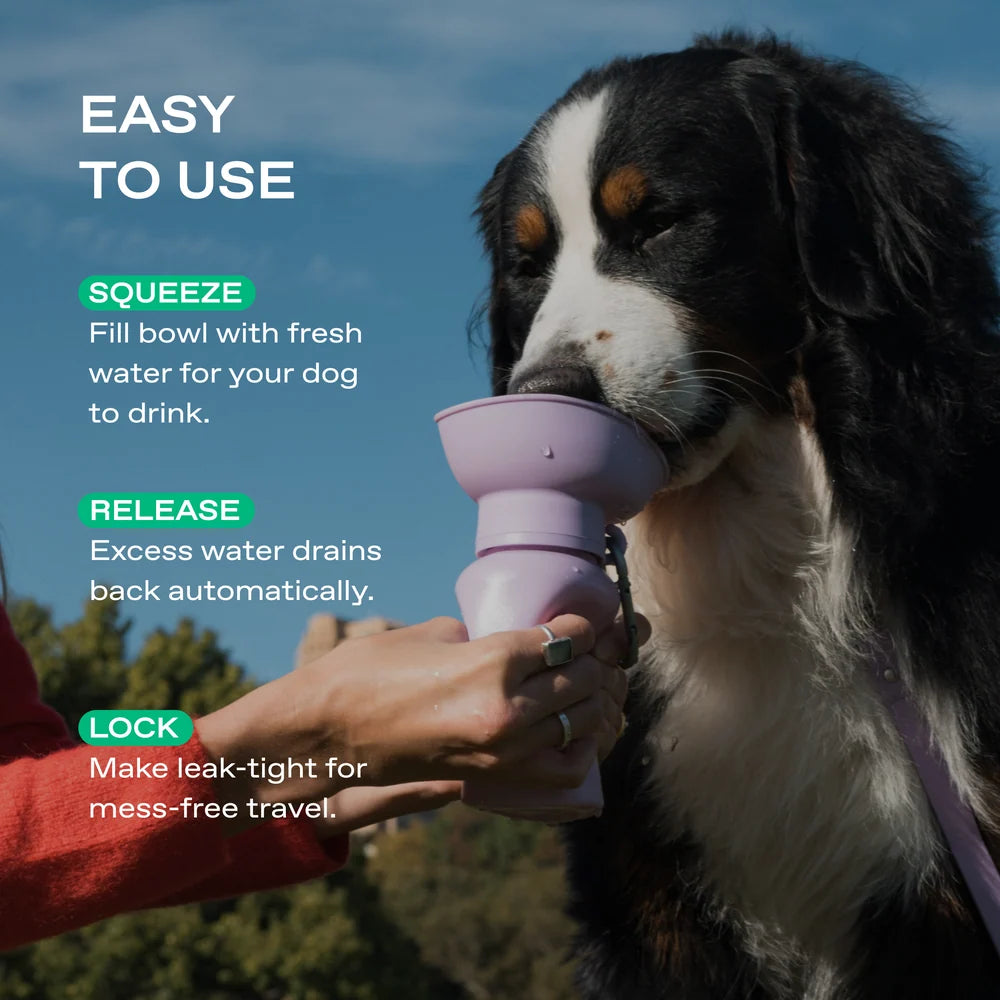 20oz Flip Travel Dog Water Bottle