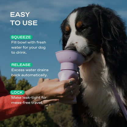 20oz Flip Travel Dog Water Bottle