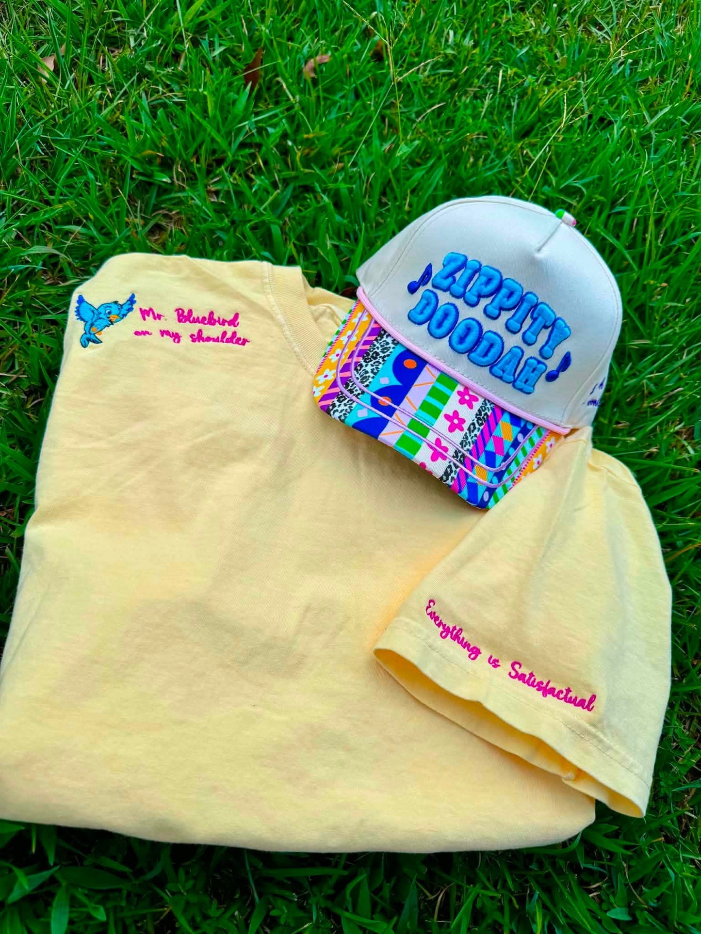 Zippity Doodah Hat & Bluebird Tee