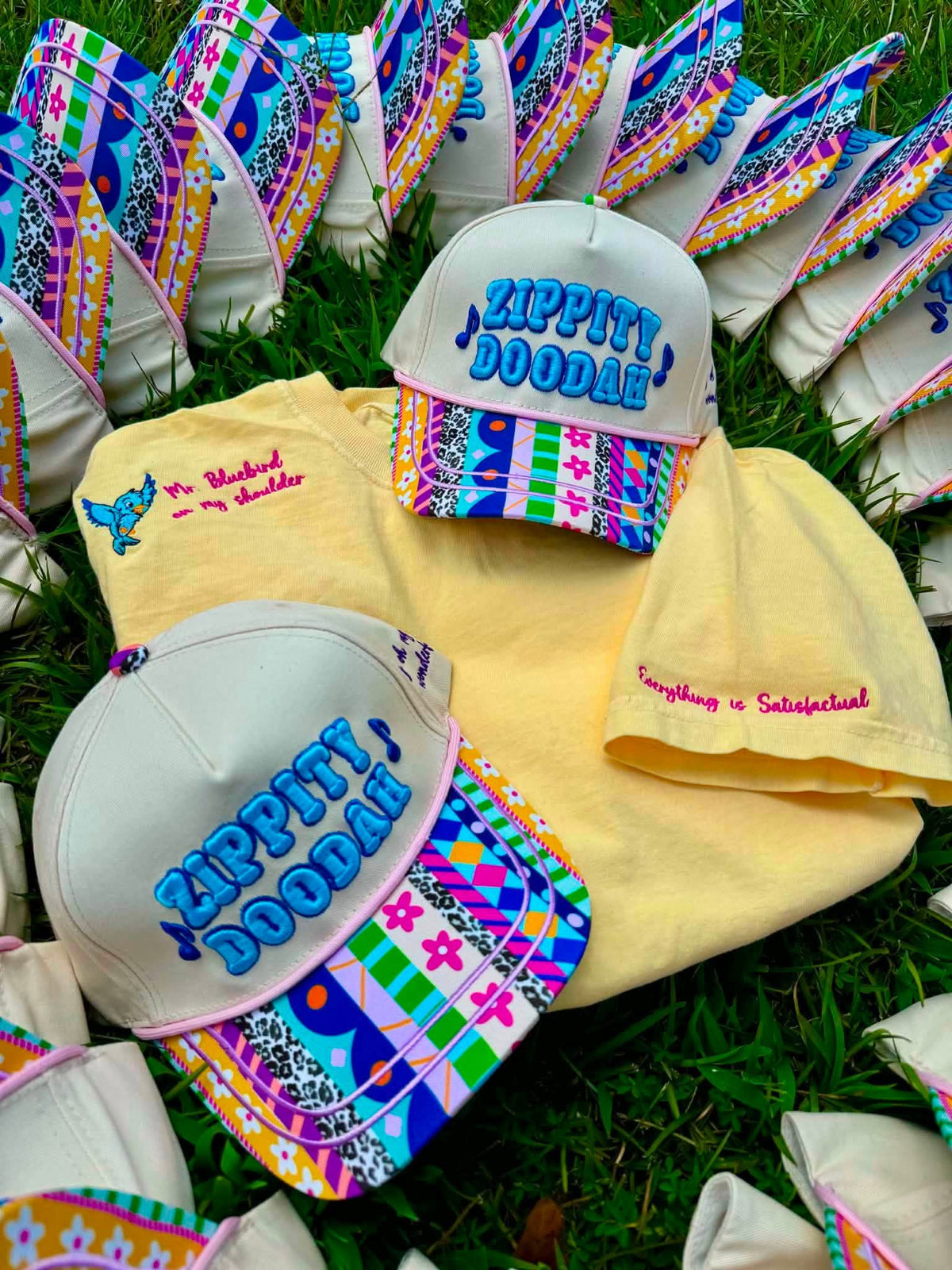 Zippity Doodah Hat & Bluebird Tee
