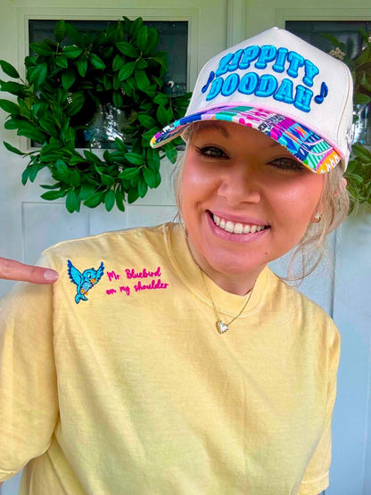 Zippity Doodah Hat & Bluebird Tee
