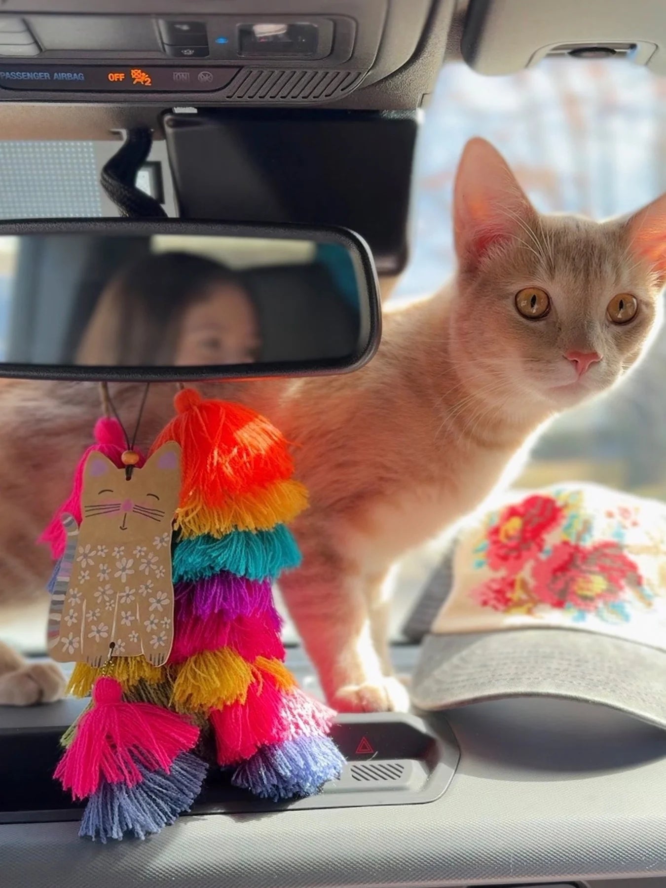 Natural Life Kitten Car Air Freshener