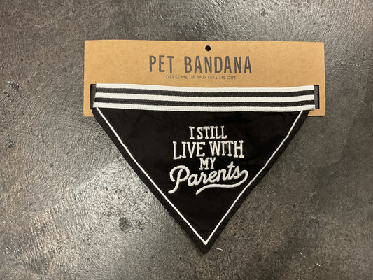 Pet Bandana