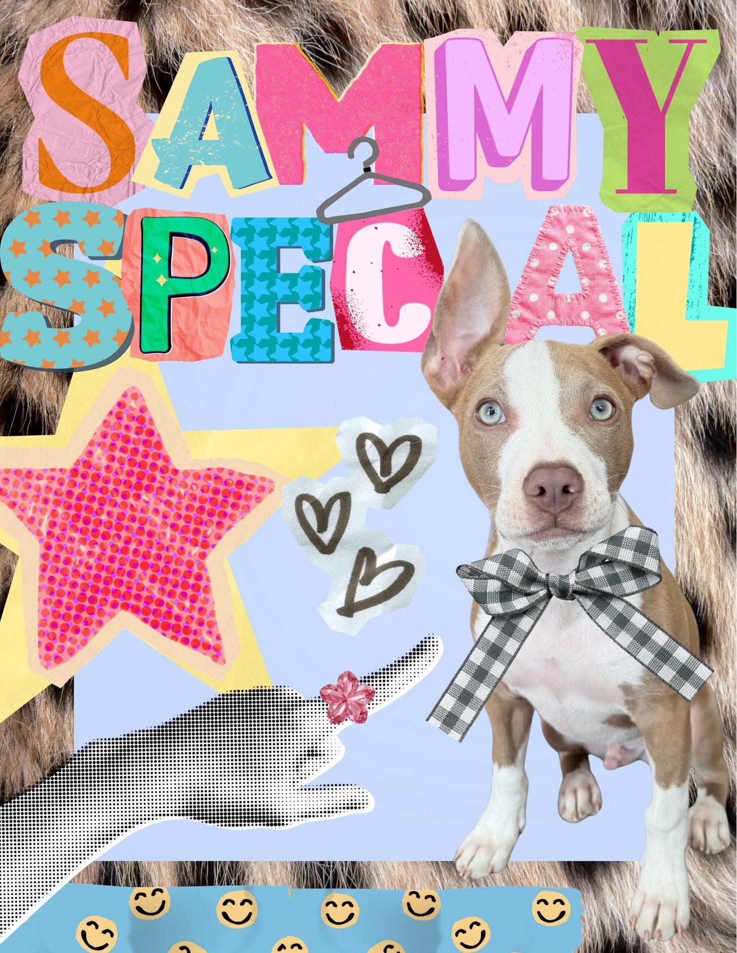 The Sammy Special