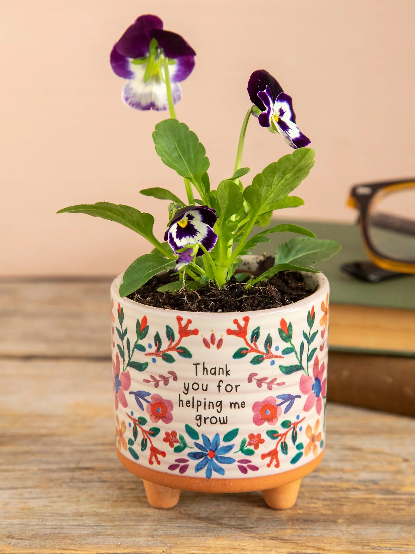 Natural Life Mini Plant Holder