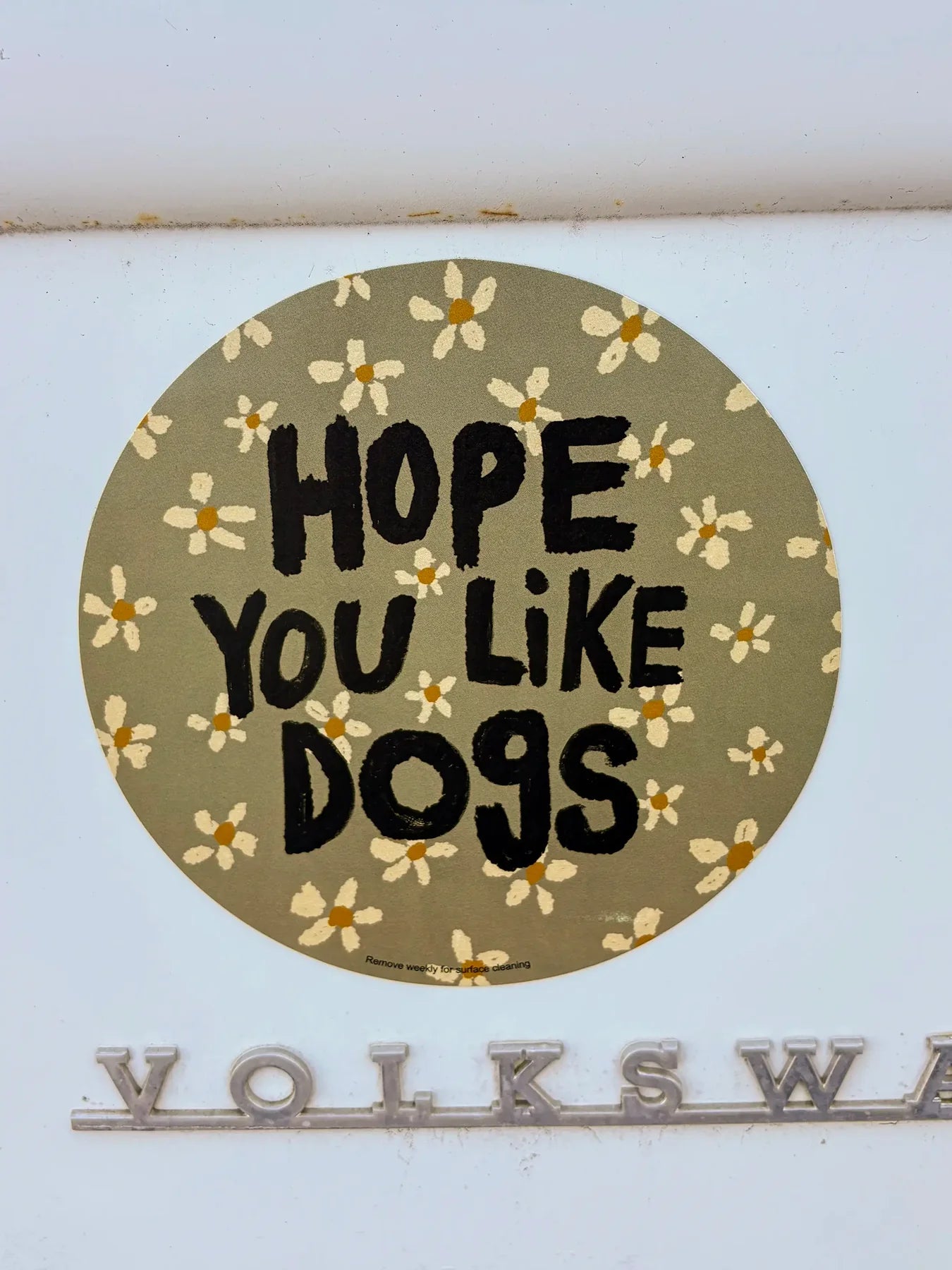 Natural Life Dog Dilemma Car Magnet
