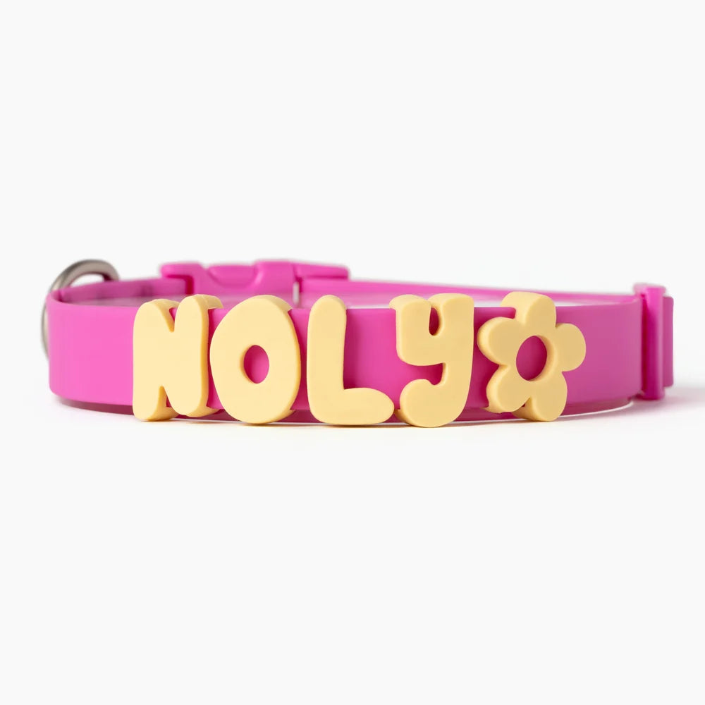 Waterproof Dog Collar Limited Edition Collection