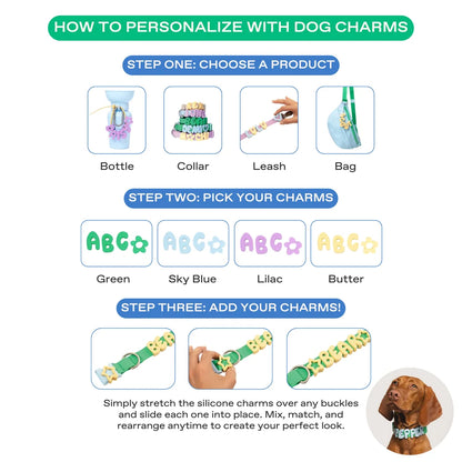 Waterproof Dog Collar Limited Edition Collection