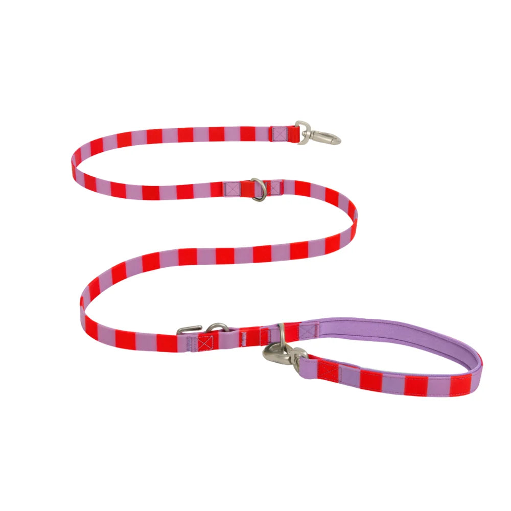 Waterproof Dog Leash 5ft