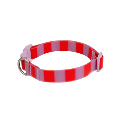 Waterproof Dog Collar Limited Edition Collection