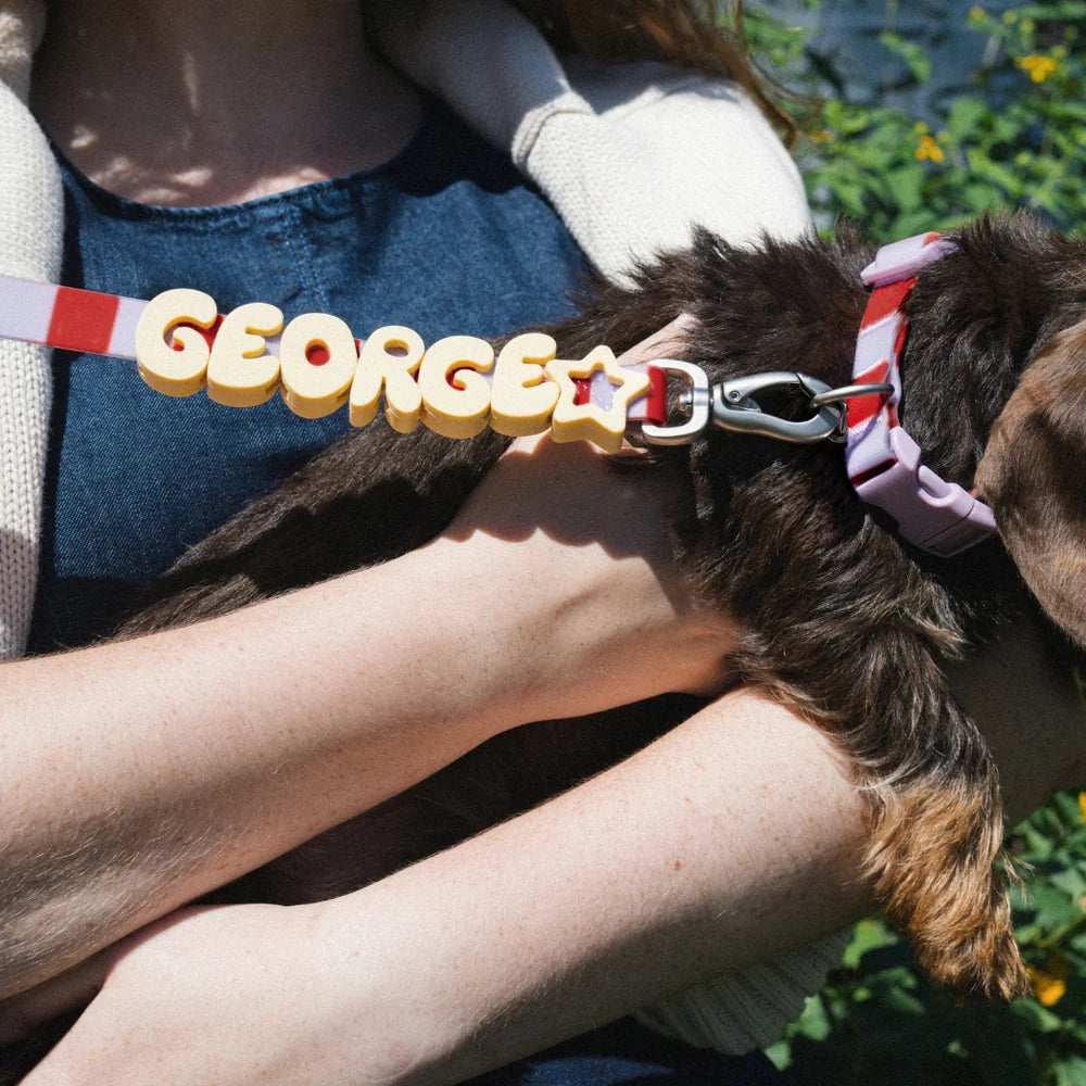 Waterproof Dog Collar Limited Edition Collection