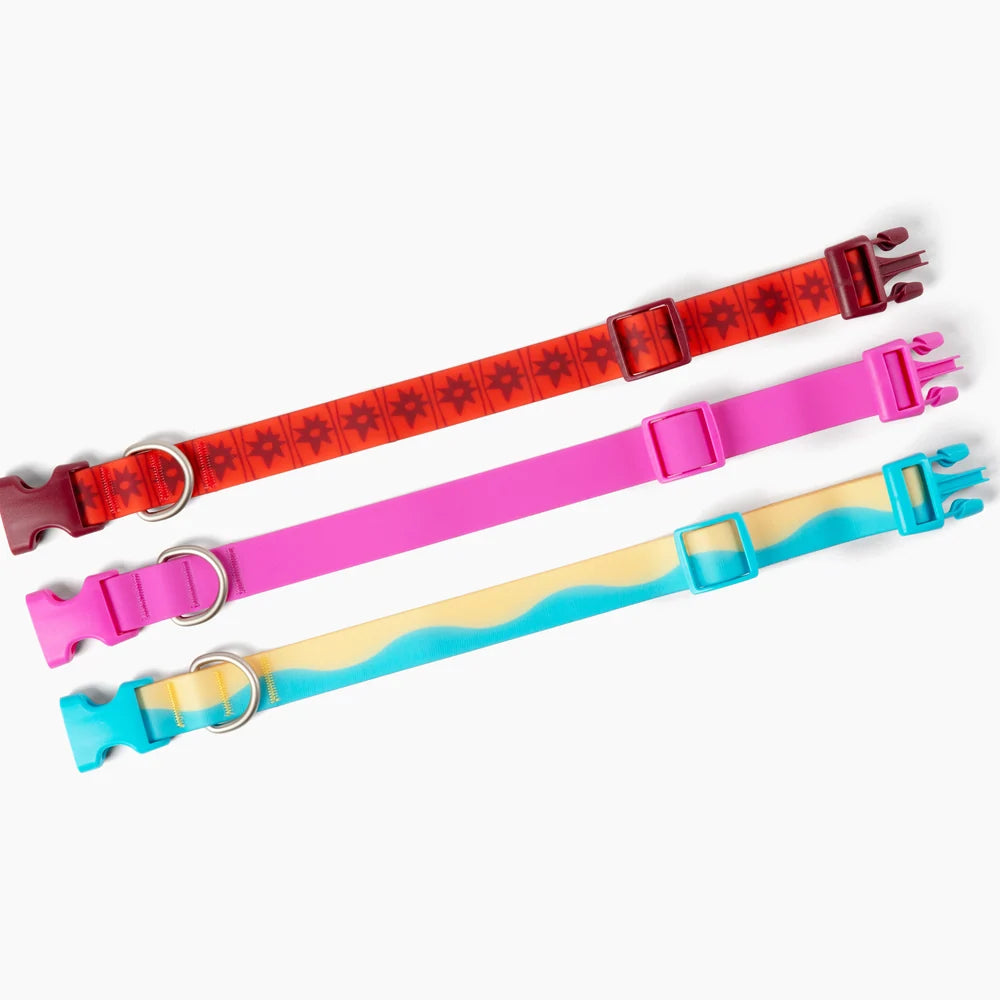 Waterproof Dog Collar Limited Edition Collection