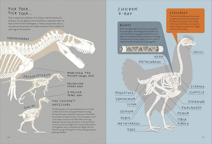 Chickenology - The Ultimate Encyclopedia
