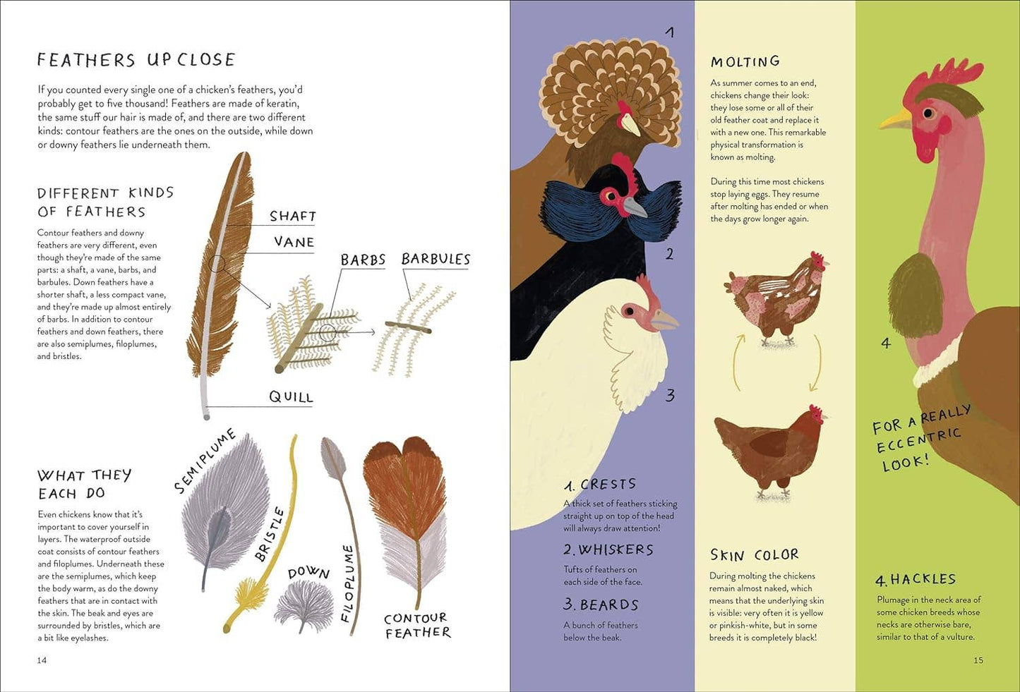 Chickenology - The Ultimate Encyclopedia