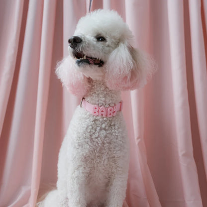 Waterproof Dog Collar Limited Edition Collection