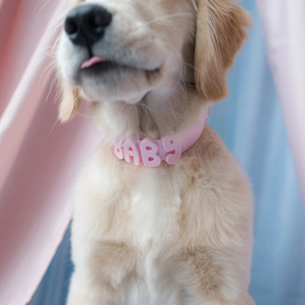 Waterproof Dog Collar Limited Edition Collection