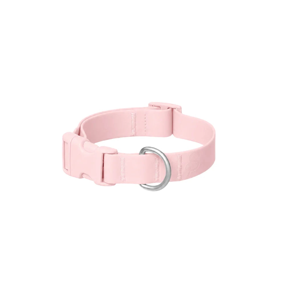 Waterproof Dog Collar Limited Edition Collection