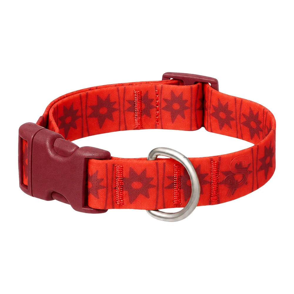 Waterproof Dog Collar Limited Edition Collection
