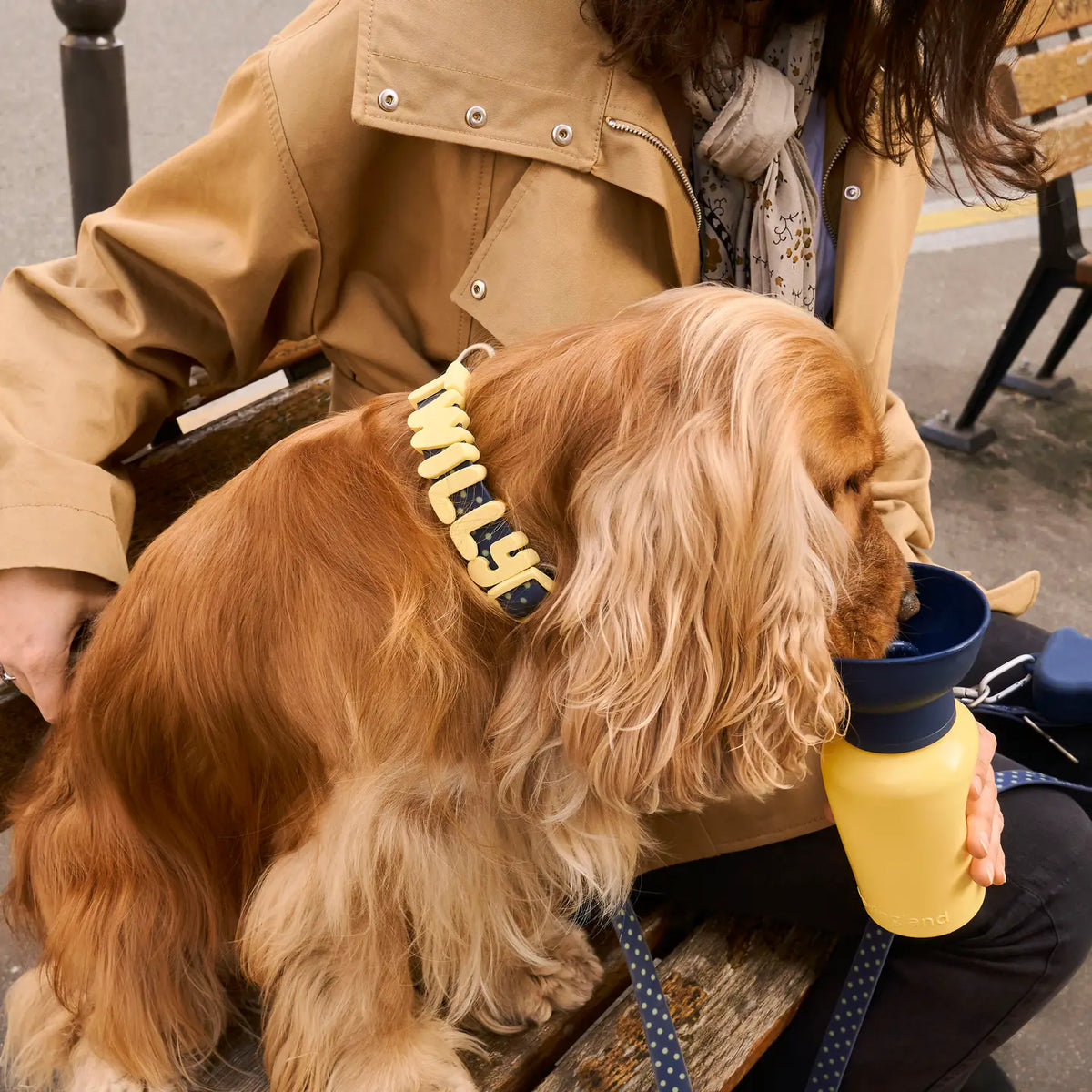 Waterproof Dog Collar Limited Edition Collection