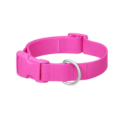 Waterproof Dog Collar Limited Edition Collection