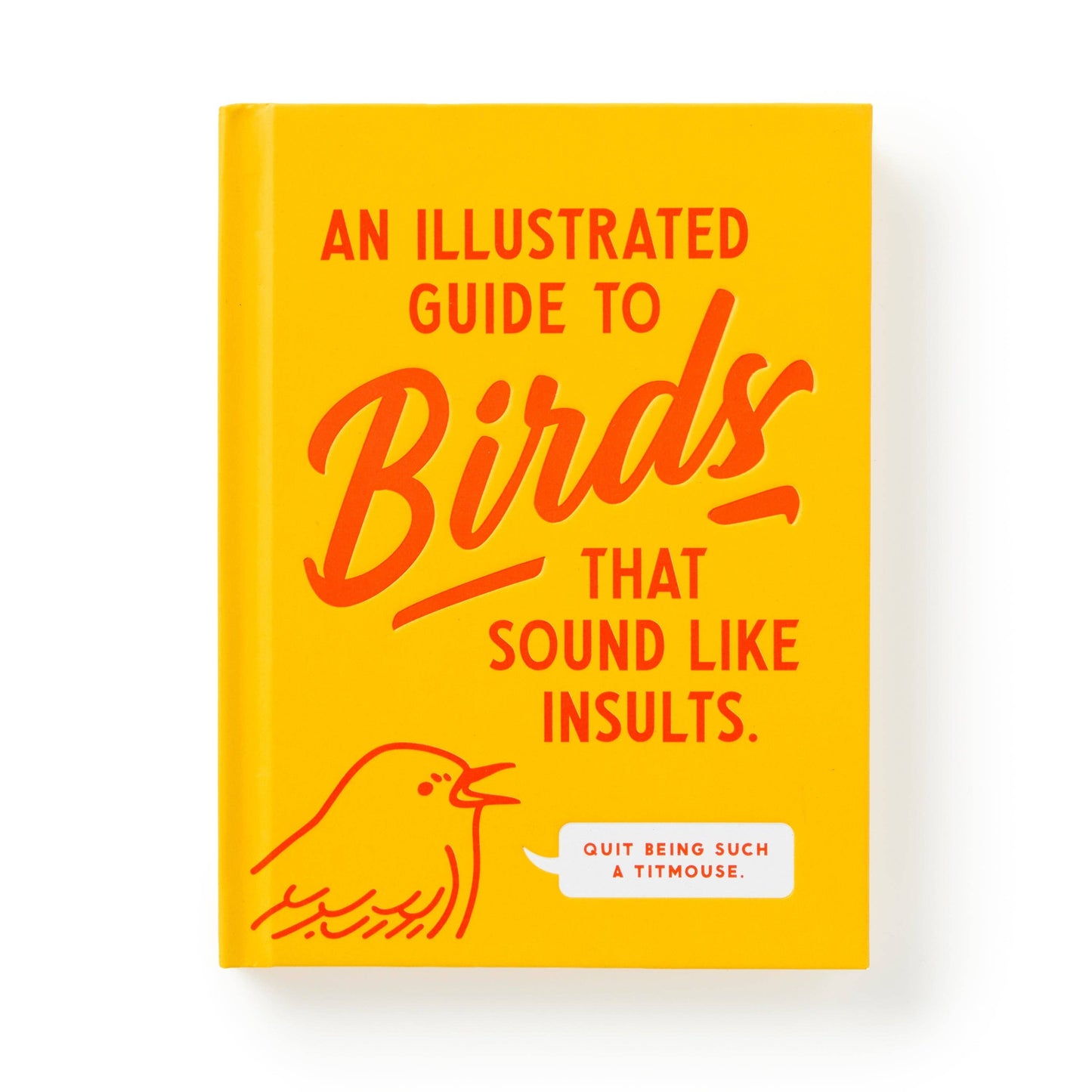 Illustrated Guide to Birds