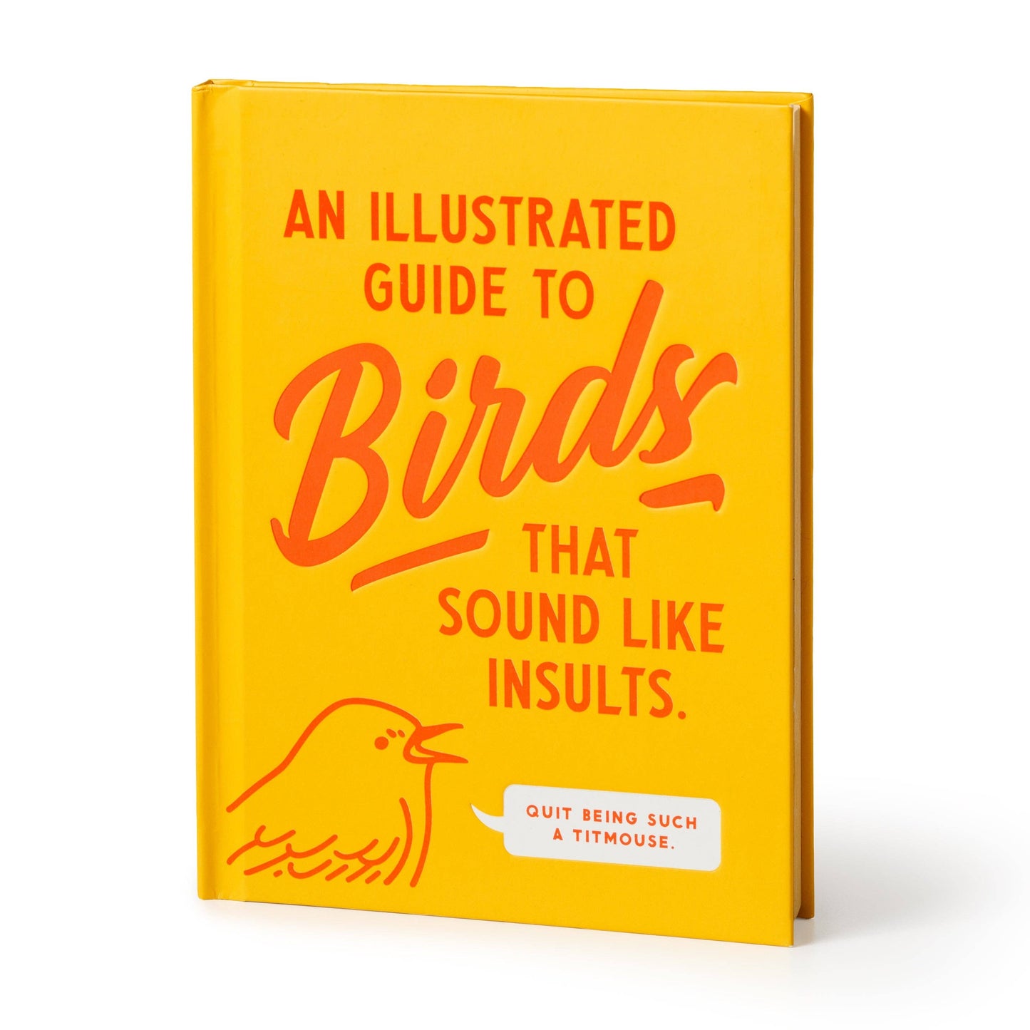 Illustrated Guide to Birds