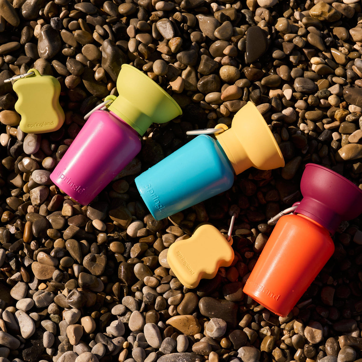 20oz Flip Travel Dog Water Bottle