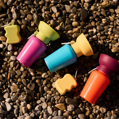 20oz Flip Travel Dog Water Bottle