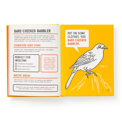 Illustrated Guide to Birds