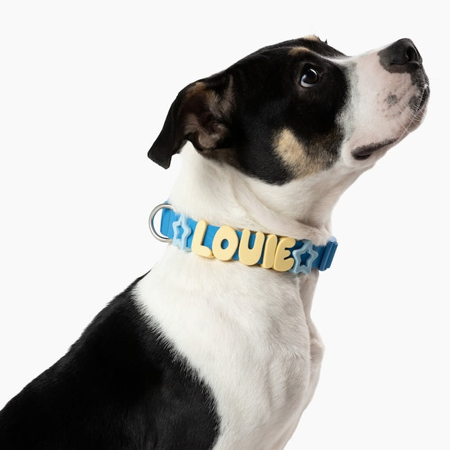 Waterproof Dog Collar