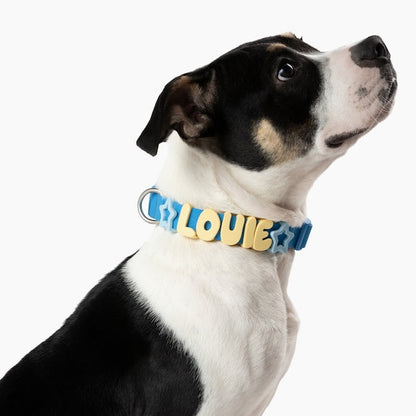 Waterproof Dog Collar