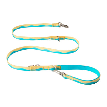 Waterproof Dog Leash 5ft
