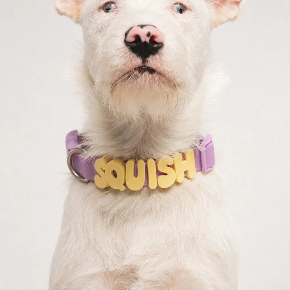 Waterproof Dog Collar