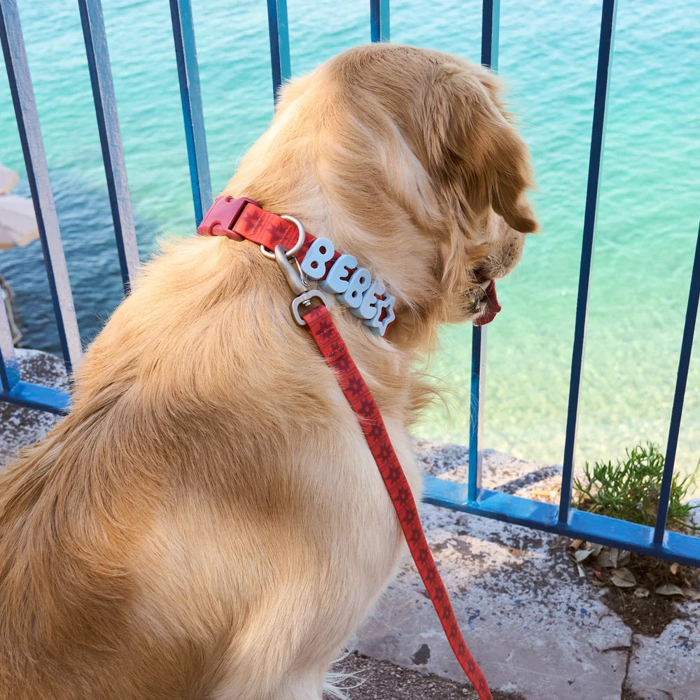 Waterproof Dog Collar Limited Edition Collection